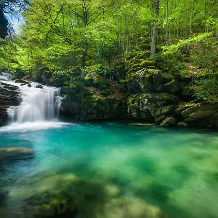 Acentor Alpino By Bevalle Διαμέρισμα Panticosa