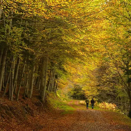 Διαμέρισμα Acentor Alpino By Bevalle