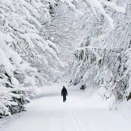 Acentor Alpino By Bevalle *