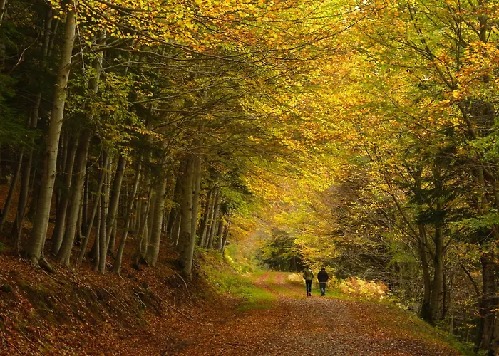 Διαμέρισμα Acentor Alpino By Bevalle