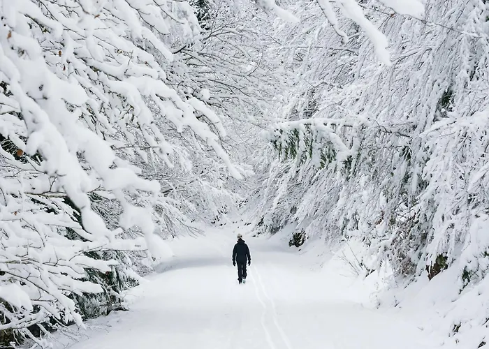 Acentor Alpino By Bevalle *